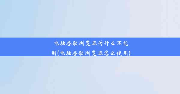 电脑谷歌浏览器为什么不能用(电脑谷歌浏览器怎么使用)