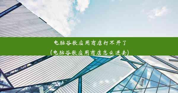 电脑谷歌应用商店打不开了(电脑谷歌应用商店怎么进去)