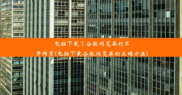 电脑下载了谷歌浏览器打不开网页(电脑下载谷歌浏览器的正确方法)