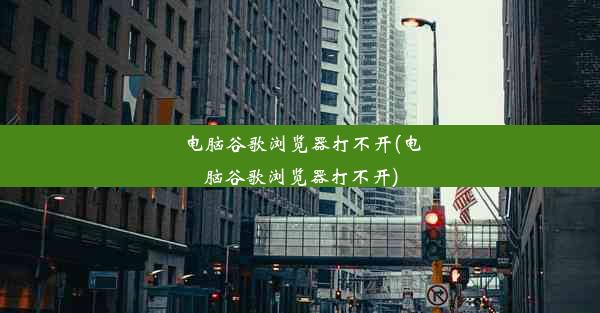 电脑谷歌浏览器打不开(电脑谷歌浏览器打不开)