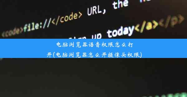 电脑浏览器语音权限怎么打开(电脑浏览器怎么开摄像头权限)