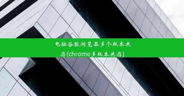 电脑谷歌浏览器多个版本共存(chrome多版本共存)