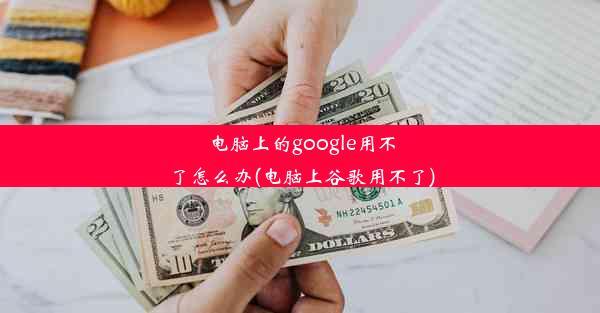 电脑上的google用不了怎么办(电脑上谷歌用不了)