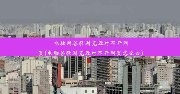 电脑用谷歌浏览器打不开网页(电脑谷歌浏览器打不开网页怎么办)