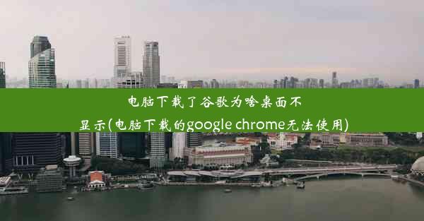 电脑下载了谷歌为啥桌面不显示(电脑下载的google chrome无法使用)