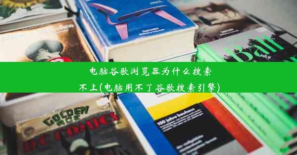 电脑谷歌浏览器为什么搜索不上(电脑用不了谷歌搜索引擎)