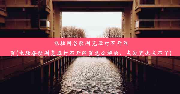 电脑用谷歌浏览器打不开网页(电脑谷歌浏览器打不开网页怎么解决，点设置也点不了)