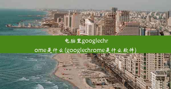 电脑里googlechrome是什么(googlechrome是什么软件)