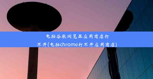 电脑谷歌浏览器应用商店打不开(电脑chrome打不开应用商店)