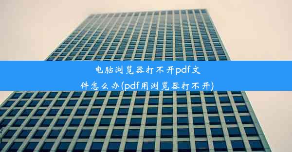 电脑浏览器打不开pdf文件怎么办(pdf用浏览器打不开)