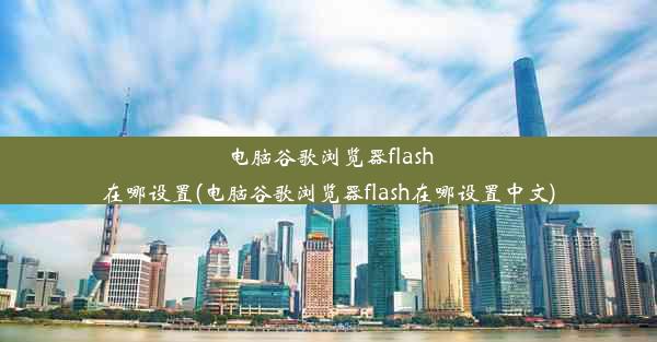 电脑谷歌浏览器flash在哪设置(电脑谷歌浏览器flash在哪设置中文)