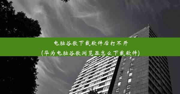 电脑谷歌下载软件后打不开(华为电脑谷歌浏览器怎么下载软件)