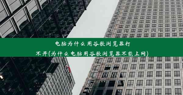 电脑为什么用谷歌浏览器打不开(为什么电脑用谷歌浏览器不能上网)