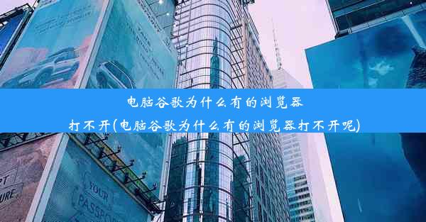 电脑谷歌为什么有的浏览器打不开(电脑谷歌为什么有的浏览器打不开呢)