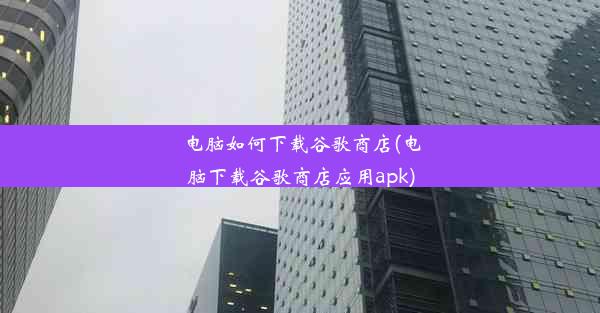 电脑如何下载谷歌商店(电脑下载谷歌商店应用apk)