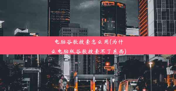 电脑谷歌搜索怎么用(为什么电脑版谷歌搜索不了东西)