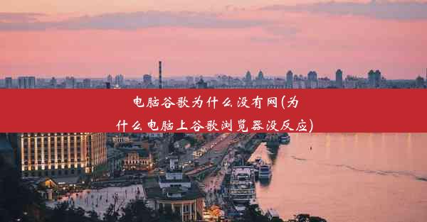 电脑谷歌为什么没有网(为什么电脑上谷歌浏览器没反应)