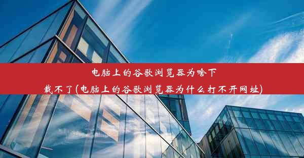 电脑上的谷歌浏览器为啥下载不了(电脑上的谷歌浏览器为什么打不开网址)