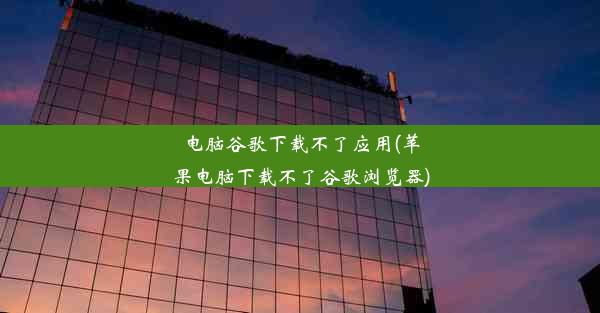 电脑谷歌下载不了应用(苹果电脑下载不了谷歌浏览器)