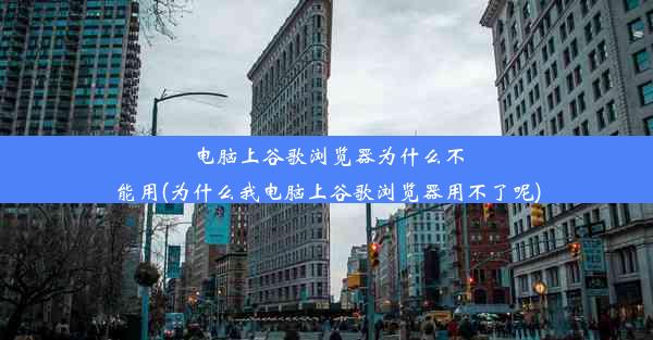 电脑上谷歌浏览器为什么不能用(为什么我电脑上谷歌浏览器用不了呢)