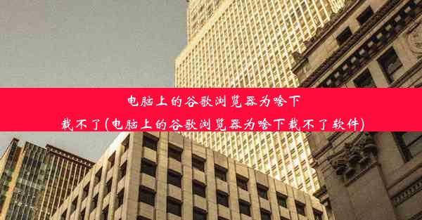 电脑上的谷歌浏览器为啥下载不了(电脑上的谷歌浏览器为啥下载不了软件)