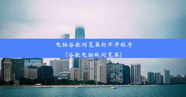 电脑谷歌浏览器打不开程序(谷歌电脑版浏览器)