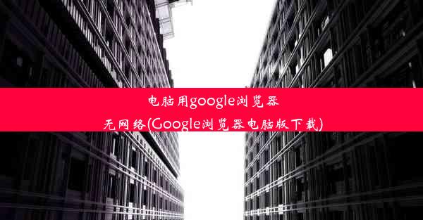 电脑用google浏览器无网络(Google浏览器电脑版下载)