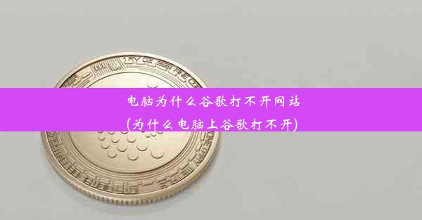 电脑为什么谷歌打不开网站(为什么电脑上谷歌打不开)