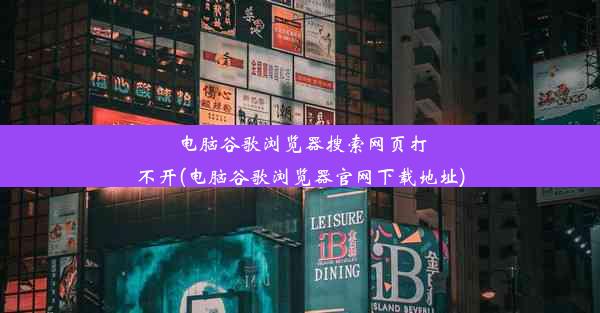 电脑谷歌浏览器搜索网页打不开(电脑谷歌浏览器官网下载地址)