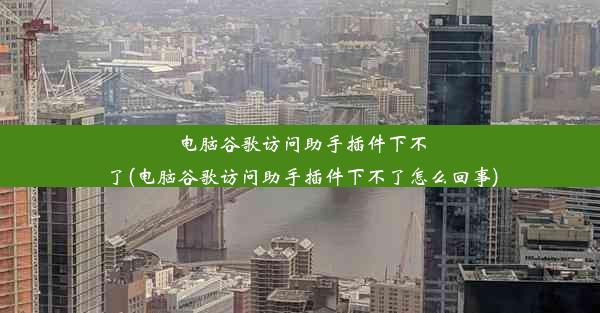 电脑谷歌访问助手插件下不了(电脑谷歌访问助手插件下不了怎么回事)