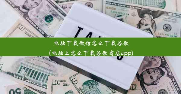 电脑下载微信怎么下载谷歌(电脑上怎么下载谷歌商店app)