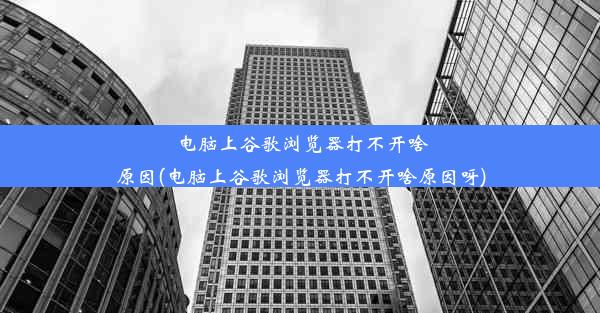 电脑上谷歌浏览器打不开啥原因(电脑上谷歌浏览器打不开啥原因呀)