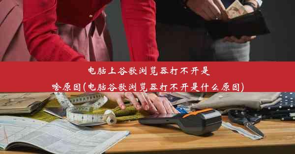 电脑上谷歌浏览器打不开是啥原因(电脑谷歌浏览器打不开是什么原因)