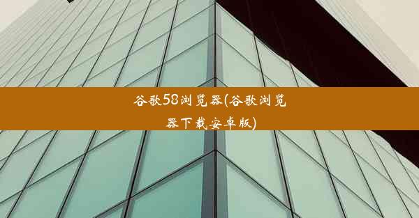 谷歌58浏览器(谷歌浏览器下载安卓版)