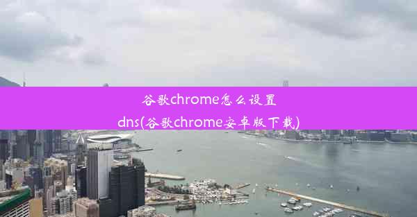 谷歌chrome怎么设置dns(谷歌chrome安卓版下载)