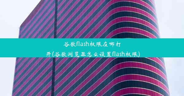 谷歌flash权限在哪打开(谷歌浏览器怎么设置flash权限)