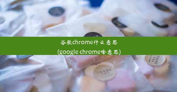 谷歌chrome什么意思(google chrome啥意思)