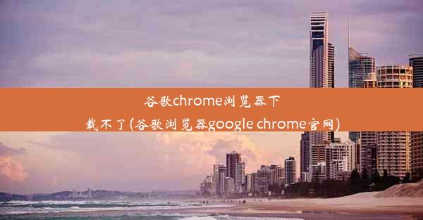 谷歌chrome浏览器下载不了(谷歌浏览器google chrome官网)