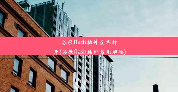 谷歌flash插件在哪打开(谷歌flash插件禁用解除)