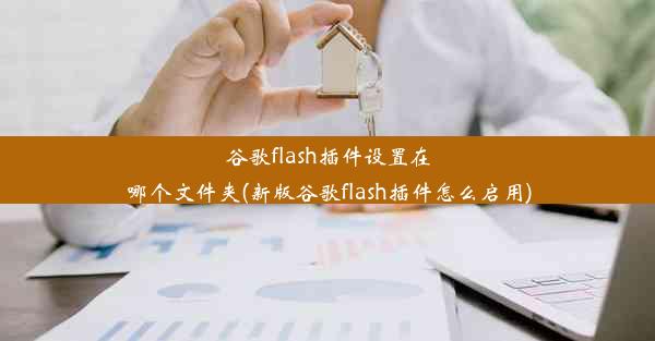 谷歌flash插件设置在哪个文件夹(新版谷歌flash插件怎么启用)