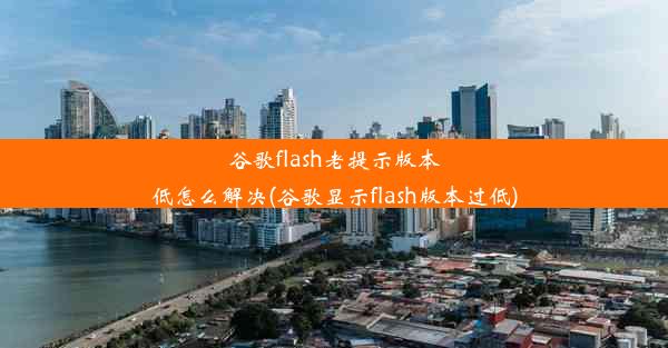 谷歌flash老提示版本低怎么解决(谷歌显示flash版本过低)