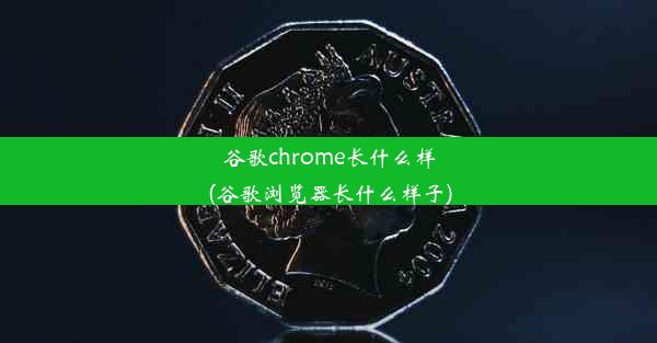 谷歌chrome长什么样(谷歌浏览器长什么样子)