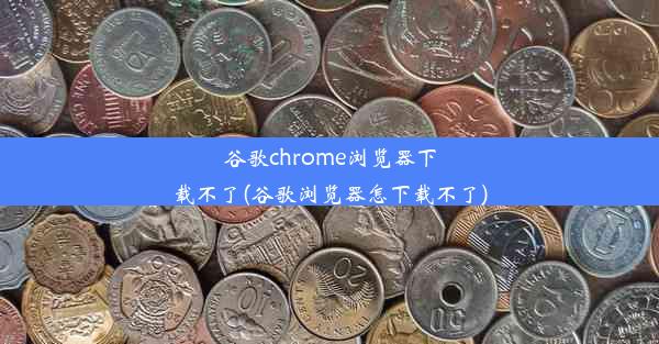 谷歌chrome浏览器下载不了(谷歌浏览器怎下载不了)