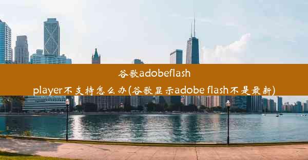 谷歌adobeflashplayer不支持怎么办(谷歌显示adobe flash不是最新)