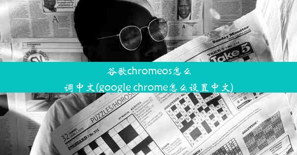 谷歌chromeos怎么调中文(google chrome怎么设置中文)