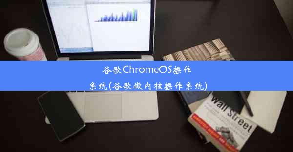 谷歌ChromeOS操作系统(谷歌微内核操作系统)