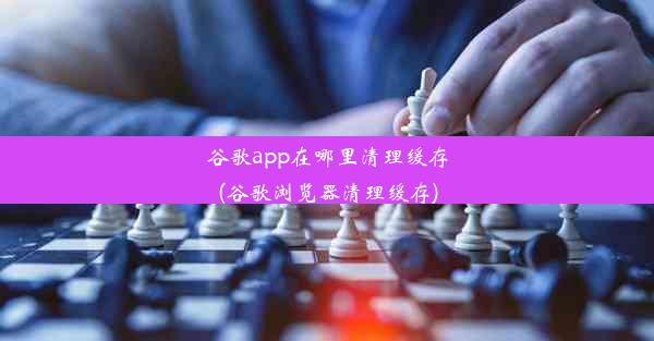 谷歌app在哪里清理缓存(谷歌浏览器清理缓存)