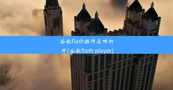 谷歌flash插件在哪打开(谷歌flash player)