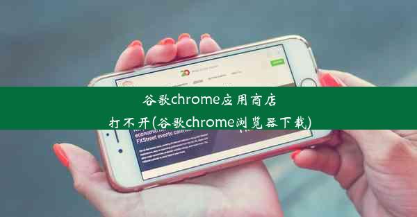 谷歌chrome应用商店打不开(谷歌chrome浏览器下载)