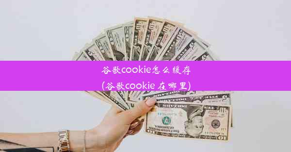 谷歌cookie怎么缓存(谷歌cookie 在哪里)